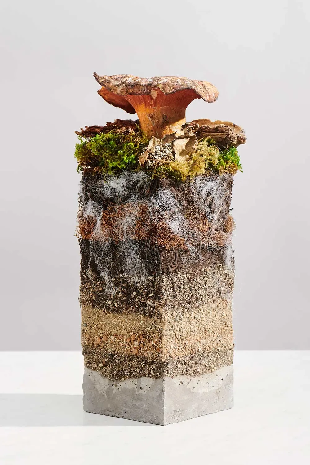 Sustainable fashion materials concept